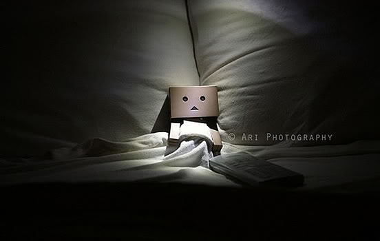 Danbo (Búp bê bằng giấy Cartong) 32