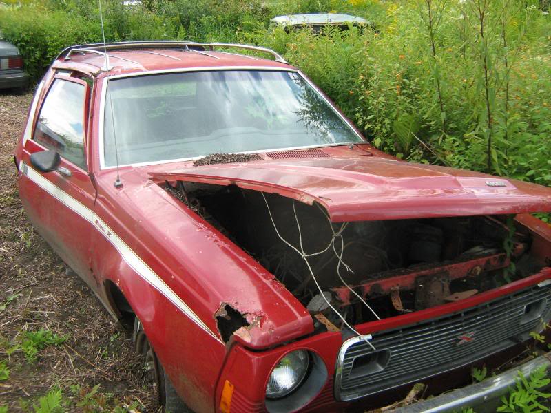 CHERCHE AMC GREMLIN AU QUEBEC A BON PRIX  (1ere voiture) IMG_1687