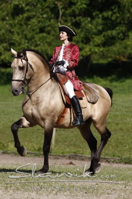 Mittelalter RPG Lusitano_Reiten708490