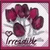 ~Amethyst - Digital Art Shop~ Rose-Iresistible