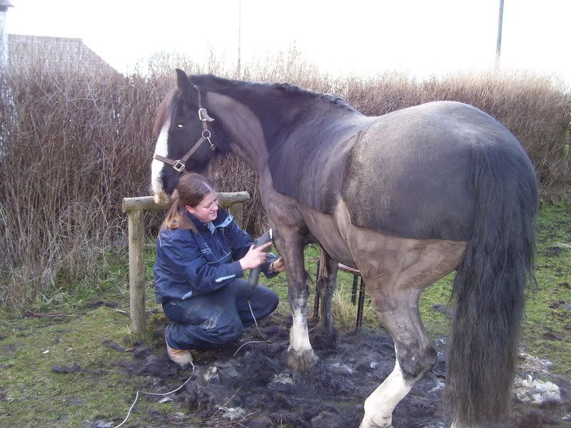 does anyone ride/own/keep horses? 100_1342