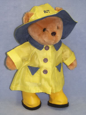 Rain gear recommendations Teddy