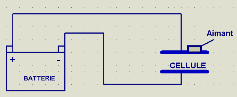 Préparation et définition CelluleMarie_1