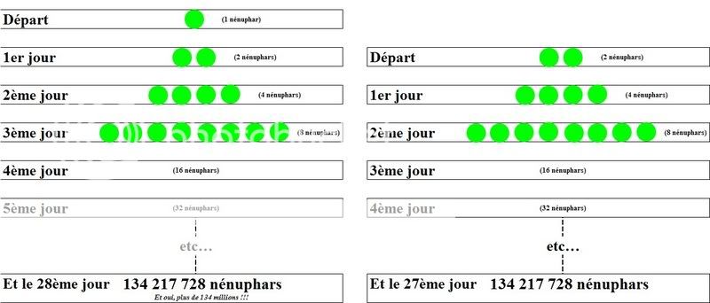 Problème de nénuphars Nenuphars03