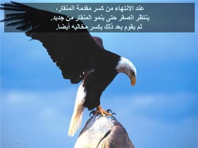 لـمـاذا نـحــتـاج لـلــتــغـــيـيــر ؟ ؟ ؟ ؟ ؟ 08