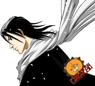 Bleach -Imagens Captain Byakuya Byakuya