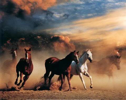 سجل حضورك بصوره على ذوقك Horses1Art