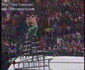mis gifs edge rated superstar The_Evolution_of_Edge