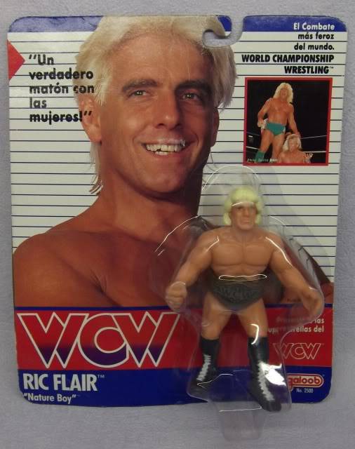 [Vente]   Blister WCW Galoob 1990. DSCF3030