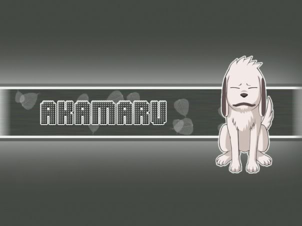 Pictures with Akamaru Akamaru