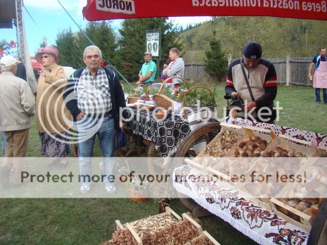 VAMA-Festivalul Hribului- 5-7 octombrie 2012 4-002-1