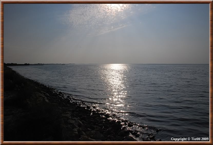 La Camargue DSC_0831