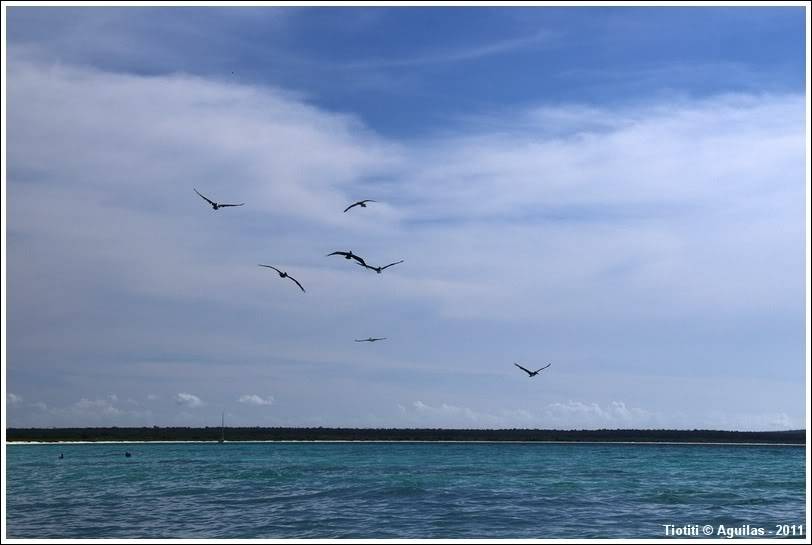 République Dominicaine. Le sud BahiadelasAguilas_0169