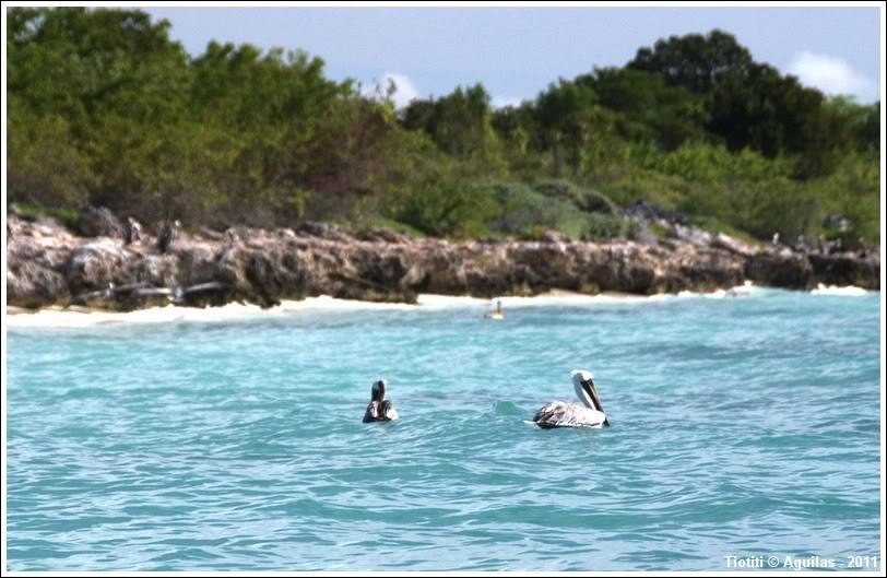 République Dominicaine. Le sud BahiadelasAguilas_0171