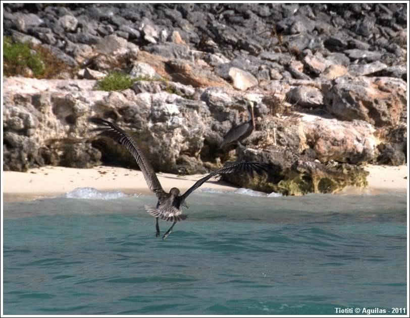 Rpublique Dominicaine. Le sud BahiadelasAguilas_0186