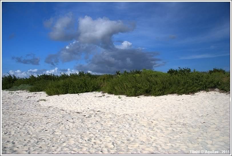 Rpublique Dominicaine. Le sud BahiadelasAguilas_0249