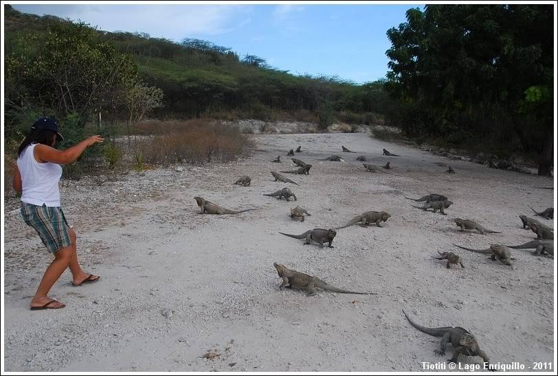 République Dominicaine. Le sud LagoEnriquillo_0430