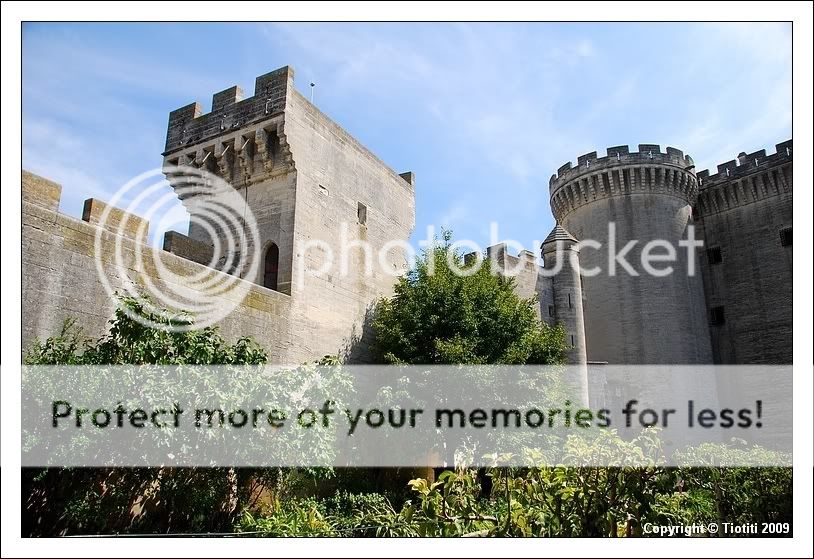 Le château du roi René à Tarascon DSC_0167