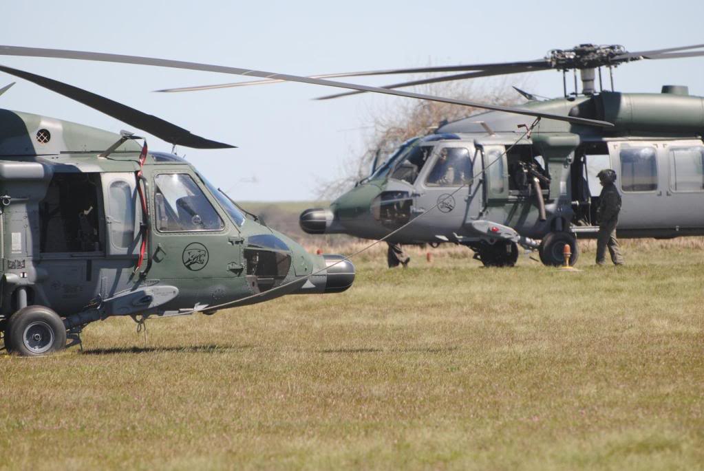 FUERZA AEREA BRASILEÑA (FAB) - Página 12 Pantera01_reduzida