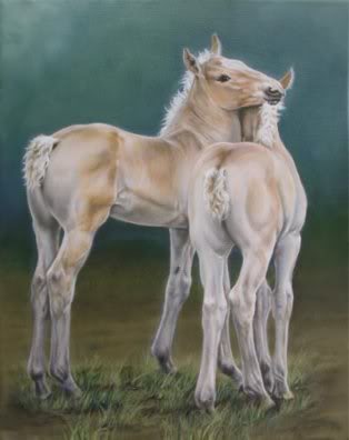 Slike drebadi Belgian_foals_8x10-393x495