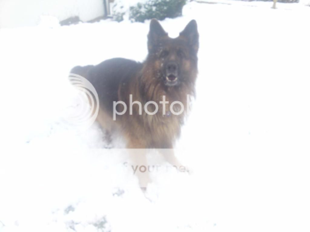 Fun in the snow (pic overload) IMG842_zps5ebeb2d3