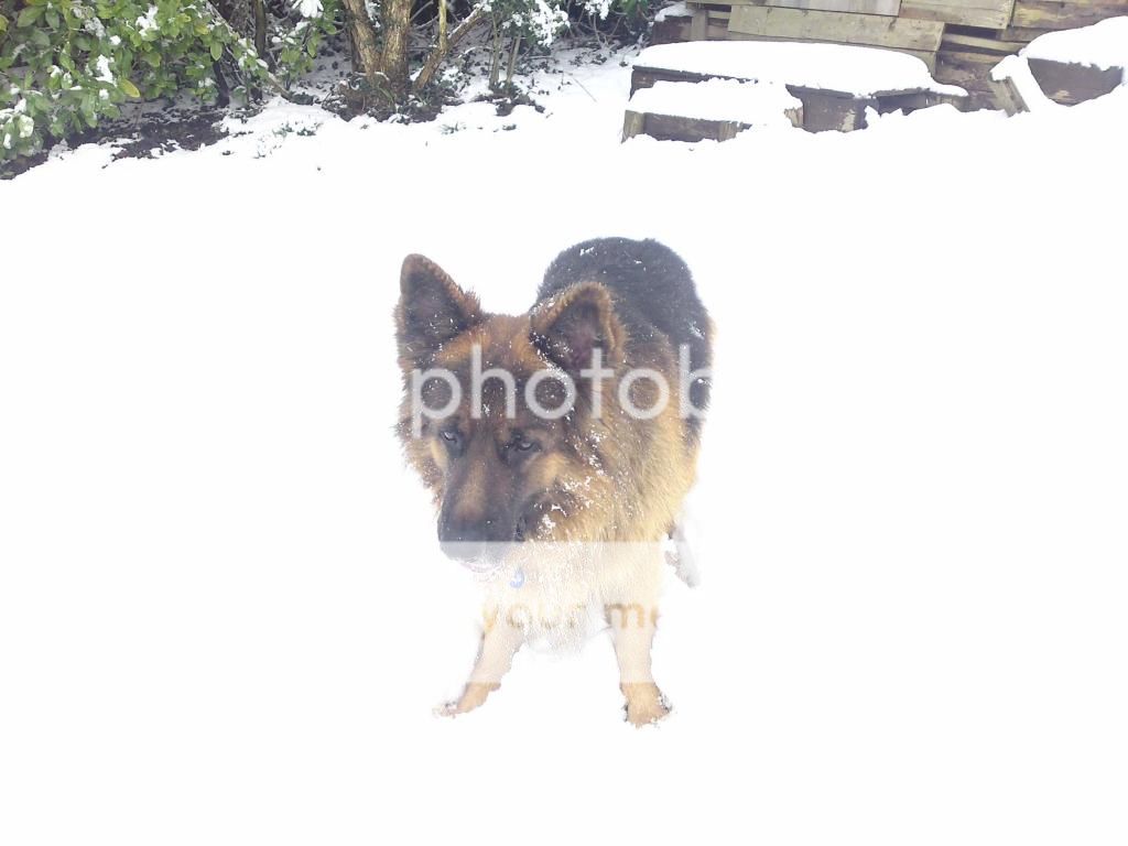 Snow fun IMG947_zpsb944a685