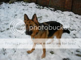 Keira in the garden Animals010