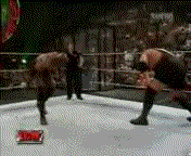 1 Batista Vs Boby Lashley Ectrme Rulesss!!! ECW_Extreme_Elimination_Chamber_-2