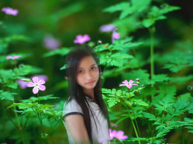 Ảnh nghệ thuật!!!! ForestFlowers1