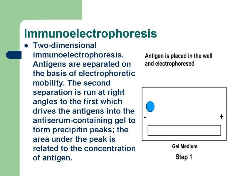 بحث في Basic Immunologic Procedures - صفحة 2 41J-42