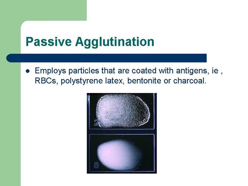 بحث في Basic Immunologic Procedures - صفحة 3 41J-51