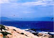 Hình Nha Trang Image009