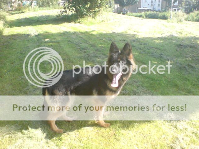 mum and daughter  Picture378