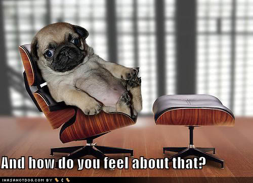 Pugs' Profile- Updated Daily! Pictures Added! Funny-dog-pictures-psychiatrist-pug