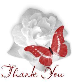 فن التعامل مع الناس RoseButterflyThankYou