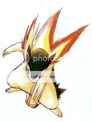 zeiks team Typhlosion-1