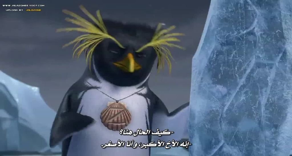 فيلم الاينمي والمغامرة والعائلي الرائع Surf's Up.720p.BluRay مترجم بنسخة البلوري 1_zpsfsebf1so