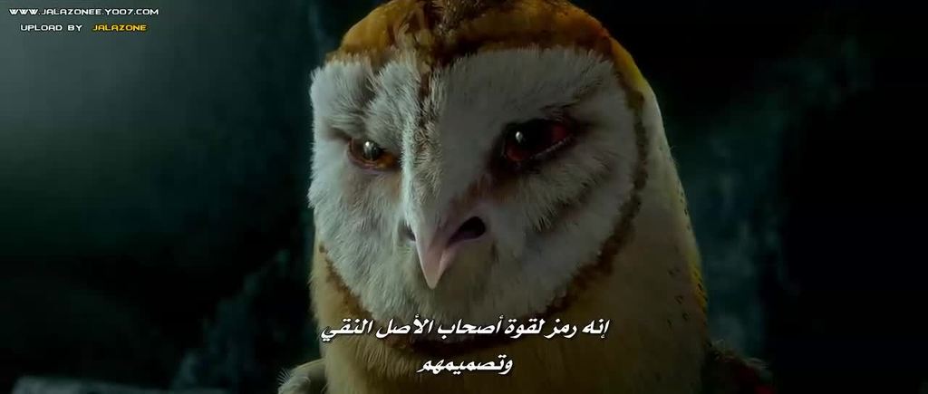 فيلم الاينمي والمغامرة الاكثر من رائع Legend of the Guardians The Owls of Ga'Hoole 720p.BluRay مترجم بنسخة البلوري 7_zpsqfmwexlk