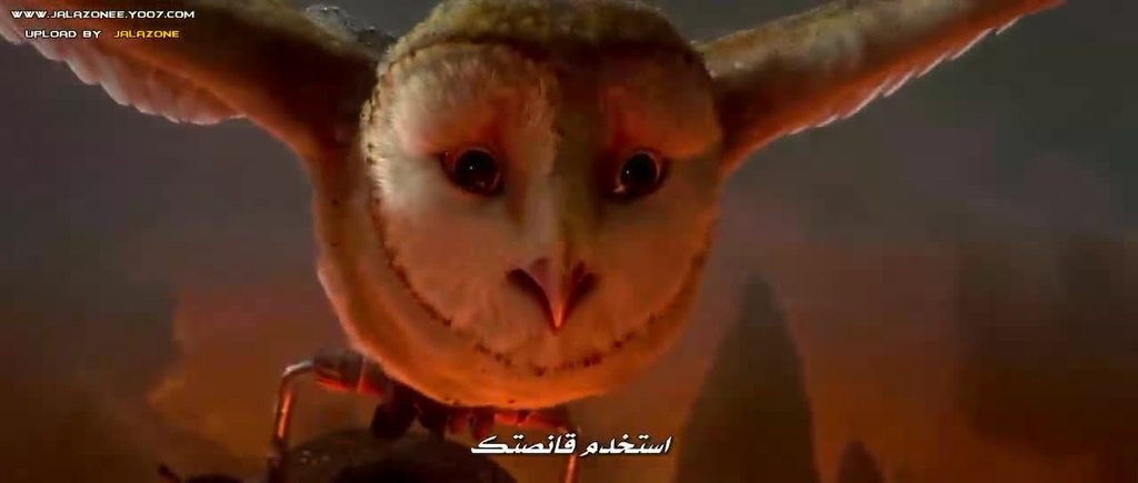 فيلم الاينمي والمغامرة الاكثر من رائع Legend of the Guardians The Owls of Ga'Hoole 720p.BluRay مترجم بنسخة البلوري 8_zpsfrhrmcgw