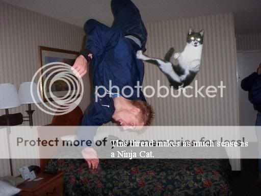 Funny pics NinjaCat