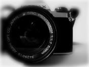 camera Pictures, Images and Photos