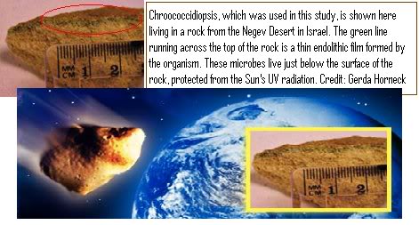 Space Rocks Could Reseed Life on Earth Meteorrock