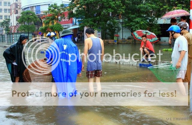 Em ơi Hà lội phố ... Lulut2