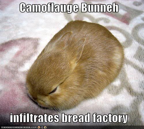 Random-Funny pics Camo