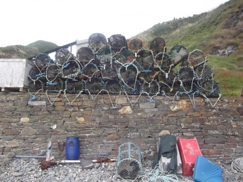 Potty crates Niarbyl CF4991_zps2f06ffdb