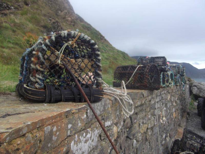 Potty crates Niarbyl CF4994_zps1ab2335a