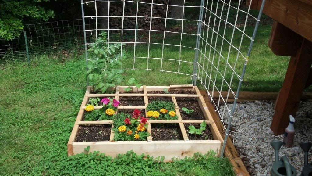 Madcapper's 2013 Square Foot Garden (With Pics) 964785_606131239398101_84245794_o