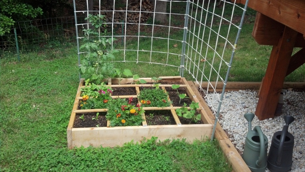 Madcapper's 2013 Square Foot Garden (With Pics) IMG_20130527_134035_591