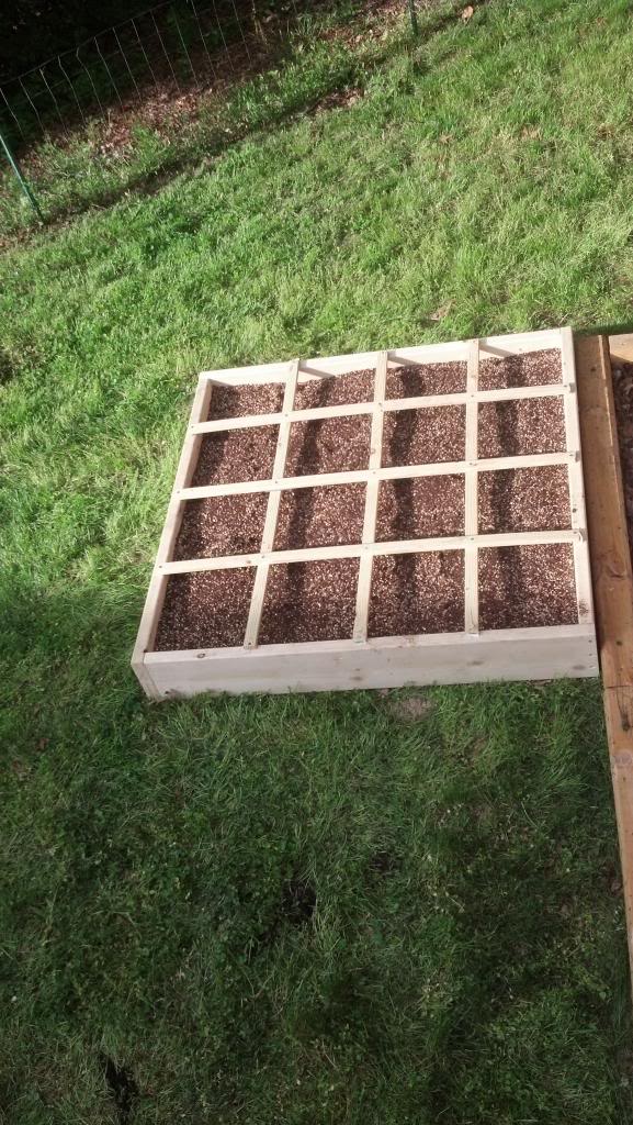 Madcapper's 2013 Square Foot Garden (With Pics) IMG_20130504_180007_479