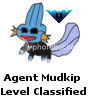 Storm's Museum AgentMudkip